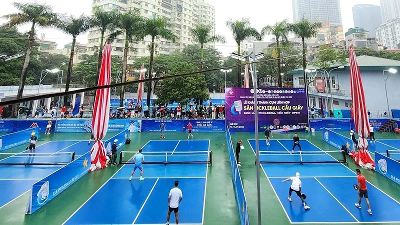 Người mới chơi pickleball cần lưu ý gì khi áp dụng chiến thuật?